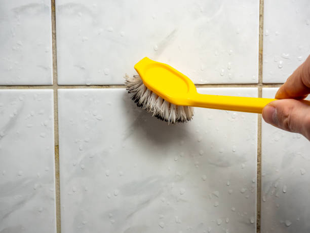 Certified Mold Removal in East Orange, NJ
