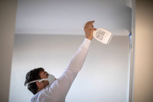 Best Mold Testing and Removal  in East Orange, NJ